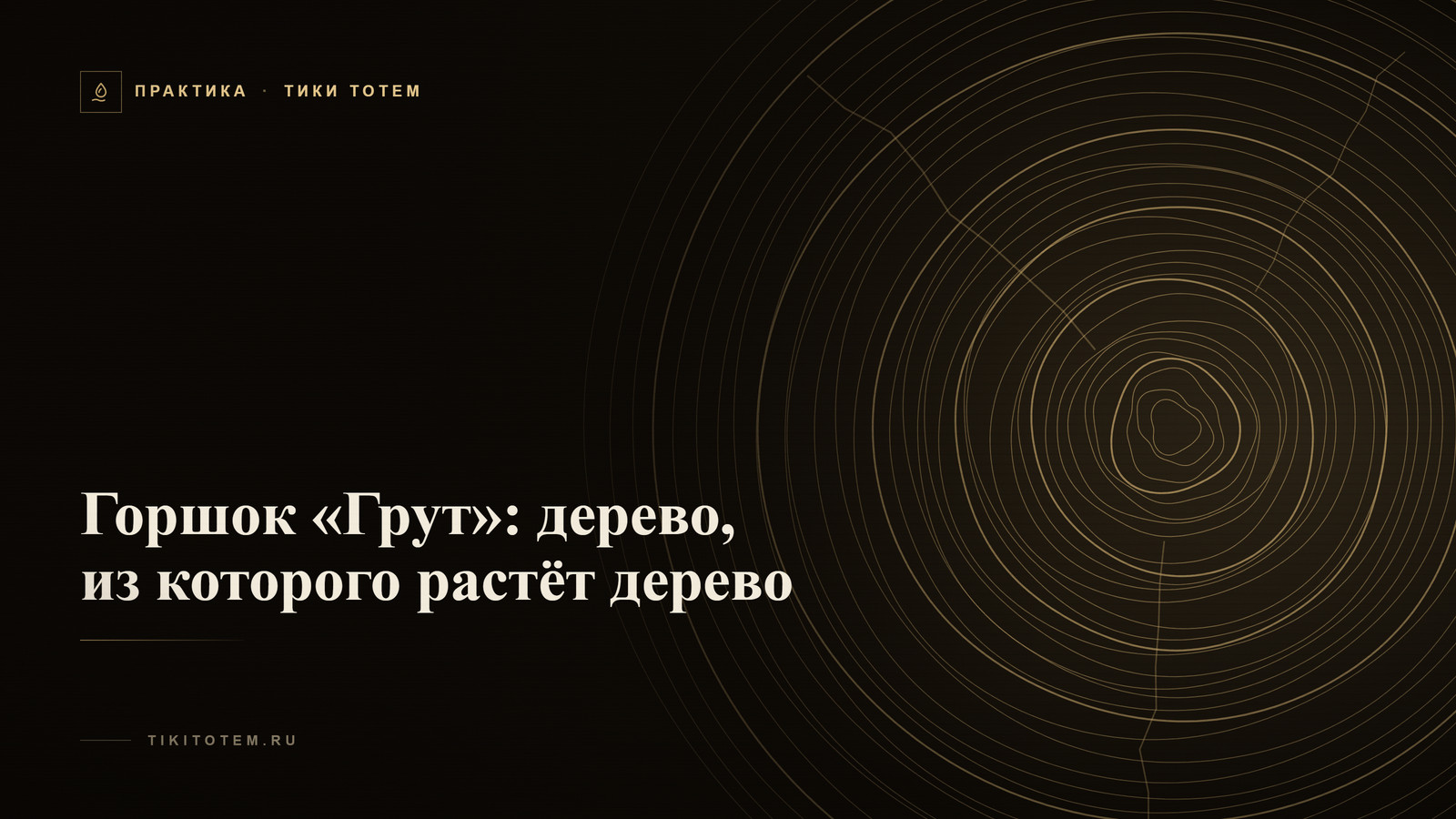 Обложка статьи «Горшок «Грут»: дерево, из которого растёт дерево»